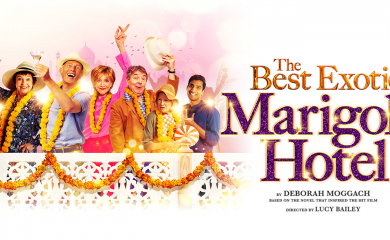 The Best Exotic Marigold Hotel St George S Quarter   The Best Exotic Marigold Hotel 